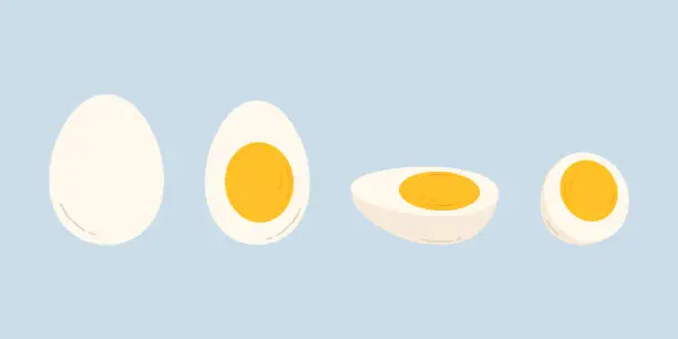 Vector illustration of Set of sliced hard boiled eggs. Flat isolated vector illustration