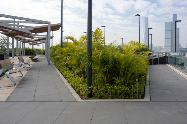 istock Modern urban public rooftop leisure garden 1892191839