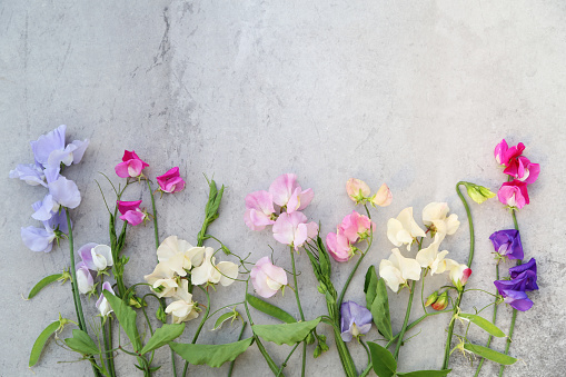 Flower arrangement