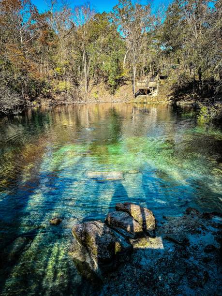 istock Shallow clear blue spring waters in lush forest, Royal Springs, County Park, Florida 1892197034