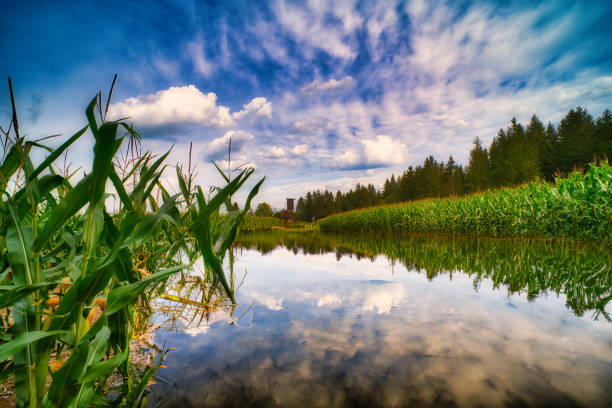 Thuringian lakes and ponds