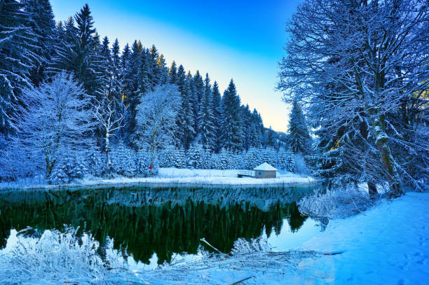 istock Thuringian lakes and ponds 1892252616