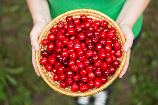 Woman holding bowl of cherries at summer.  Outdoor photo, defocused background.