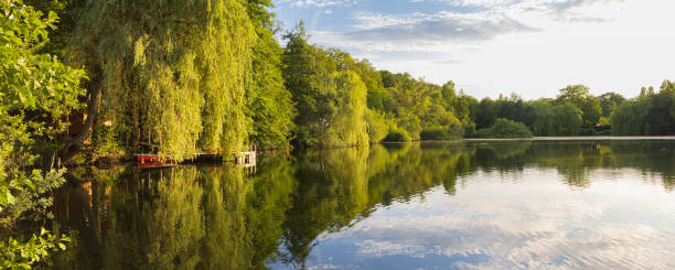 istock At the Waldsee in Lehrte in Germnay 1892307990