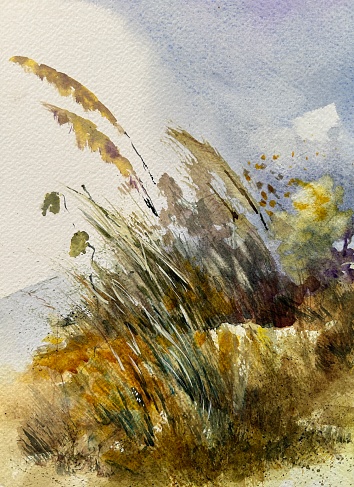 Original painting of a close up of grasses