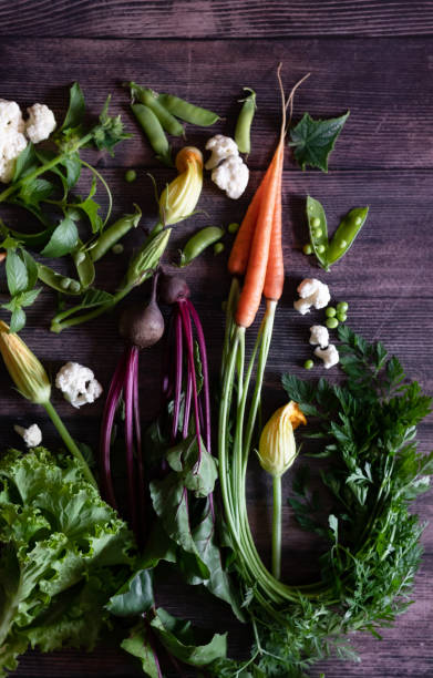 Flat Stacking series assorted green tinted Vegetables, Fresh Organic raw products