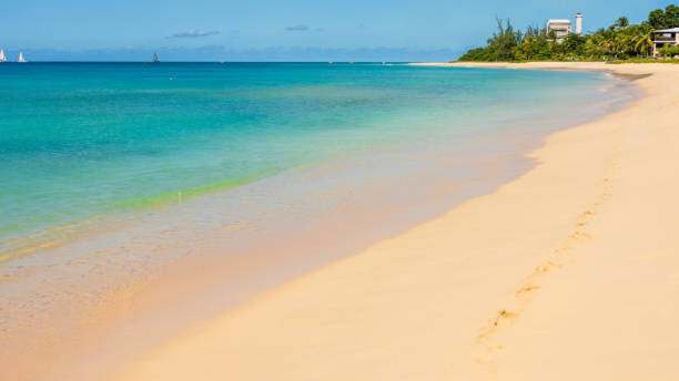 istock Barbados Island's Sandy Paradise Beach, Caribbean Island 1892371743