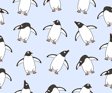 Subantarctic penguin or gentoo penguins, seamless vector background and pattern. Animal, bird, avian, feathered, antarctica and nature, vector design and illustration