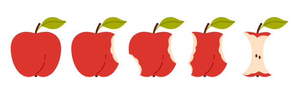 Bitten apple set, sequence game animation of eaten fruit, stages of biting red ripe apple Bitten apple set, sequence game animation of eaten fruit. Stages of biting red ripe apple with green leaf from whole to half and core, bite progression cartoon animated collection, vector illustration sequential series stock illustrations