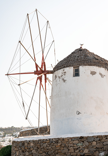Seagulls sit on the thatched roofs of windmills in Mykonos.
