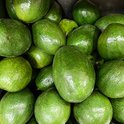 Close up of avocado fruit for sale in a supermarket in Caracas city