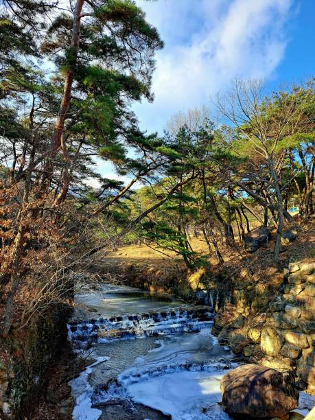 istock A frozen valley with a small waterfall in the forest with a warm sunlit 1892515132