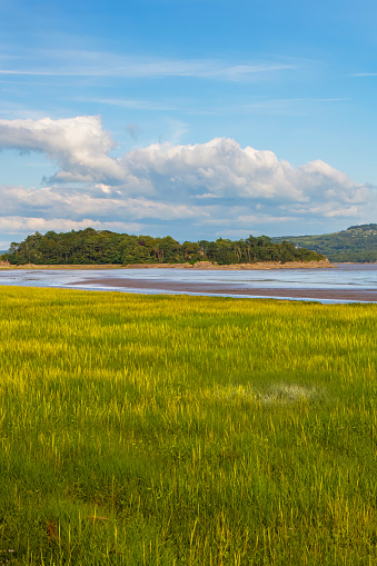 View over the salt marshes towards Morecombe Bay from Grange-over-Sands in Cumbria, England.