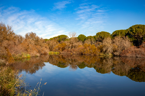 View with morning light of Charco del Acebron in the Doñana Natural Park, Huelva, Andalusia, Spain