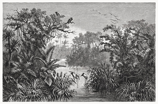 Historical view of an Indian jungle landscape. Wood engraving, published in 1894.