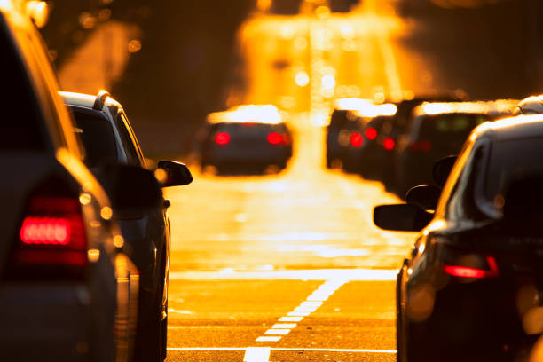 istock Dawn's Delight: A Mushroom Embraces the Early Morning Sunlight 1892576330