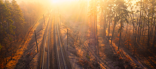 Spectral Serenity: A Forest Railway Engulfed in Dawn Fog