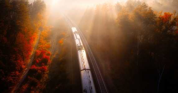 Above the Tracks: Capturing the Forest's Railway Beauty