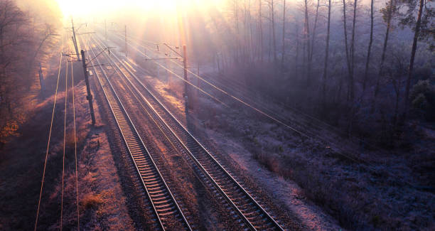 ghostly rails: dawns ankunft auf den nebelverhangenen waldgleisen - aerial passenger line stock-fotos und bilder