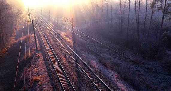 Enigmatic Voyage: A Fog-Kissed Forest Railway at Daybreak
