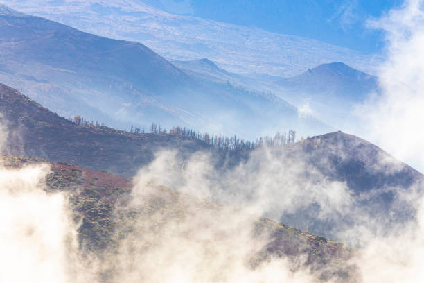 Canary Island Tenerife landmark, Teide's national park. After big fire in 2023.