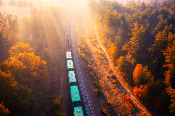 From Above the Canopy: Railroad Journey through the Woods
