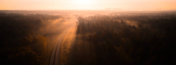 istock Dawning Whispers: Fog Settling over the Forest Railway Tracks 1892576348