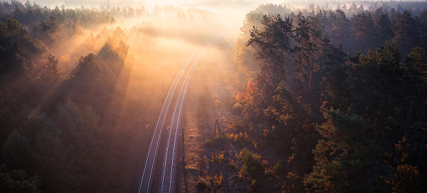 Shrouded Symphony: A Forest Railway's Dawn Elegance in Fog