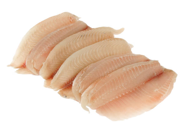 istock fresh raw tilapia fish fillet isolated on white background 1892692050