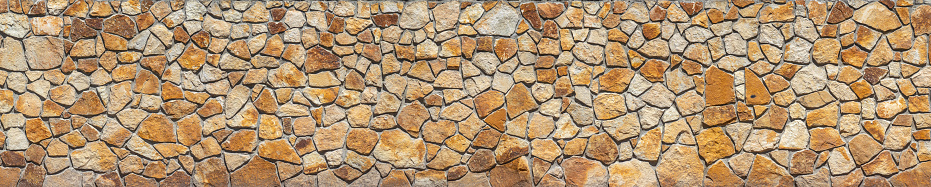 Close-up shot of bark of pine tree texture background.