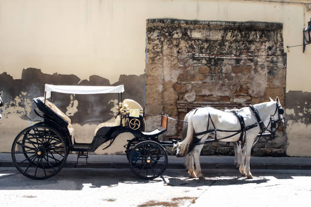istock Horse-drawn carriage 1892714795