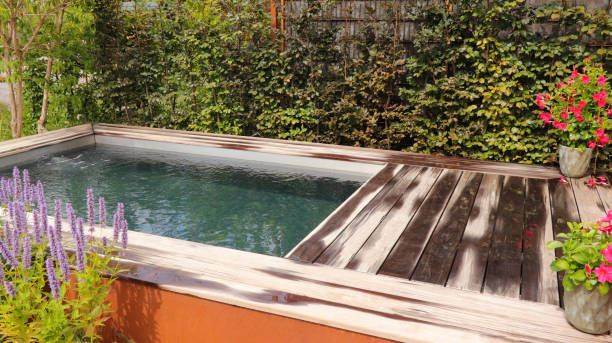 istock Swimming pool in garden 1892722583