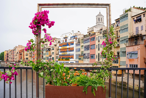 view of Girona Church with spanish flowers frame in temps de flors in spring