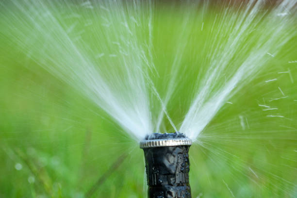 istock Refreshed Greens: The Magic of the Automatic Lawn Sprinkler 1892740690