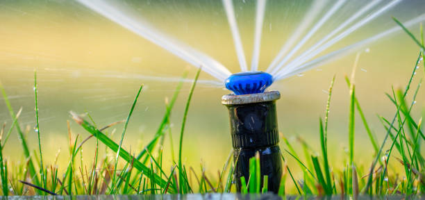 Lawn Love: The Magic of Automated Irrigation in Action