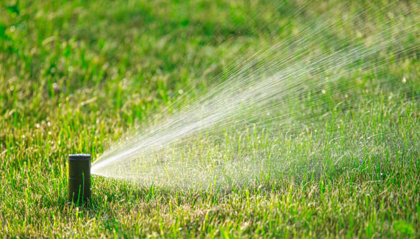 istock Waterscape Wonders: Enhancing Lawns through Automated Care 1892740703