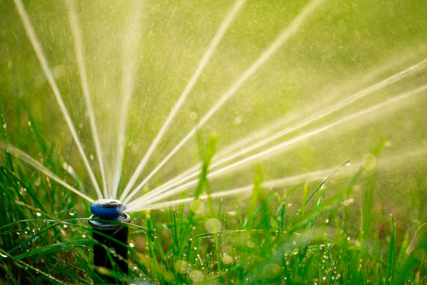 Green Marvel: Nurturing Lawns with Automated Watering