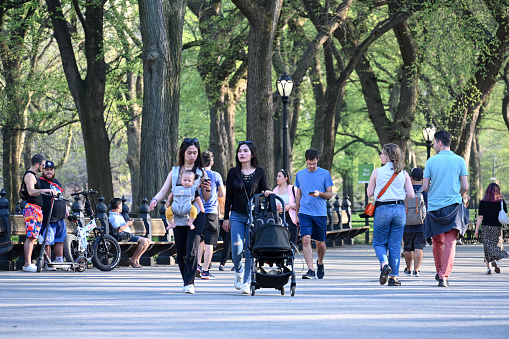 New York, USA, April 13, 2023 - Tourists and locals stroll along the Mall and Literary Walk in Central Park, Midtown Manhattan, New York.