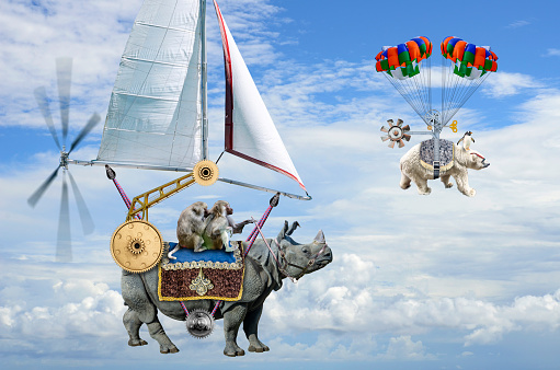 Digitally generated with my photographic images. The animal kingdom of the Serengeti has been a little bored lately and decided to take flight in the first annual, Race between a rhinoceros and a polar bear. A polar bear, navigated by a penguin, is currently sailing in the lead with the rhinoceros and baboon team in hot pursuit.
