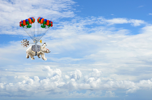 Digitally generated with my photographic images. Tired of the cold arctic weather, a polar bear, navigated by a penguin, decides to fly south to warmer weather and takes flight into the stratosphere.