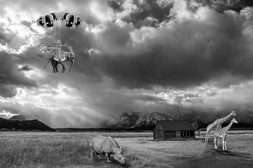 Digitally generated with my photographic images. Tired of grazing for food, an elephant decides to have a little fun and takes flight in front of the Grand Tetons National Park as a mother giraffe, her calf and a rhinoceros watch all of the fun from below.