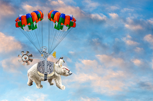 Digitally generated with my photographic images. Tired of the cold arctic weather, a polar bear, navigated by a penguin, decides to fly south to warmer weather and takes flight into the stratosphere.