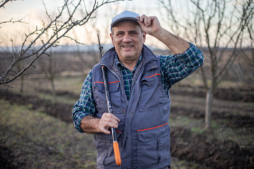Portrait of a man with pruning shears in an orchard