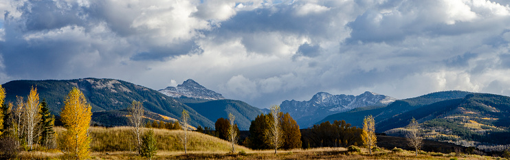 Panorama of Brilliant Aspens at Peak Color in the Colorado Rocky Mountains