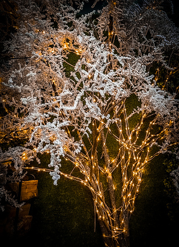 Glowing Christmas lights in shape of a bunch of flowers covered with snow