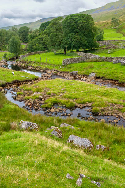 istock Oxbow bend in a stream in the Yorkshire Dales, England. 1892860918