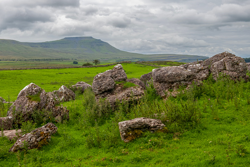 View of Ingleborough across rocks and fields in the Yorkshire Dales National Park, England.
