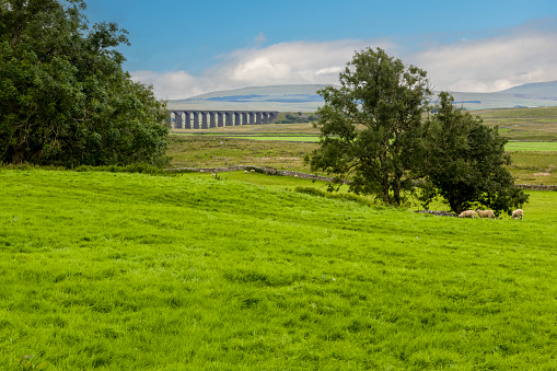 Image of the Ribblehead Railway Viaduct in the Yorkshire Dales National Park, England.