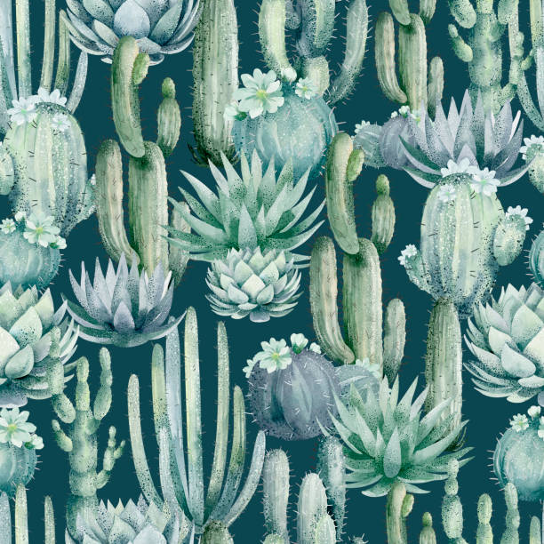 illustrations, cliparts, dessins animés et icônes de cactus aquarelle vibrante et plantes succulentes motif sans couture - southwest usa floral pattern textile textured