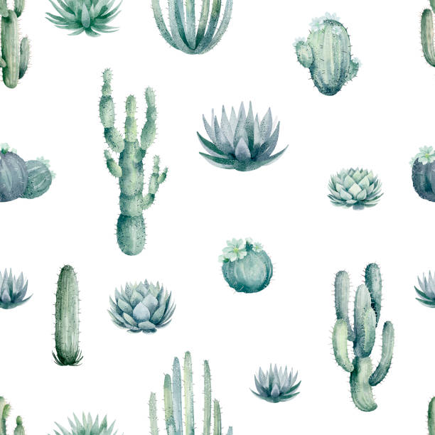 illustrations, cliparts, dessins animés et icônes de un motif homogène de cactus et de plantes succulentes - southwest usa floral pattern textile textured
